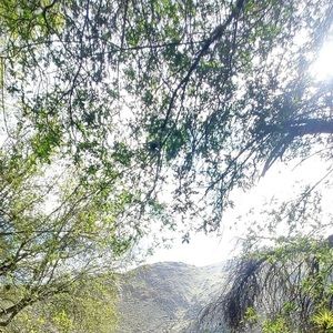 Meet your Posher, Diego